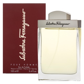 Salvatore Ferragamo Pour Homme Toaletná Voda Pre Mužov 100 Ml