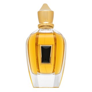 Xerjoff 17/17 Homme čistý Parfém Pre Mužov 100 Ml